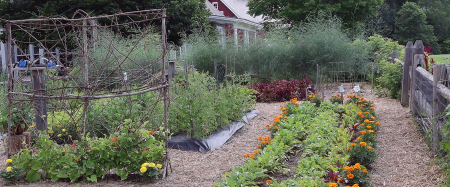 gardening in Vermont