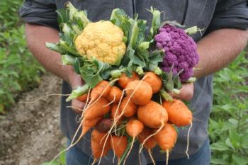 gardening in Vermont